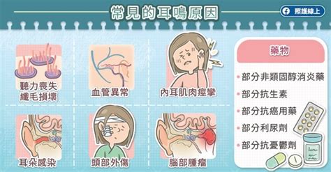 耳朵有聲音|耳鳴 ：發生的症狀、造成的原因、如何診斷與治療方。